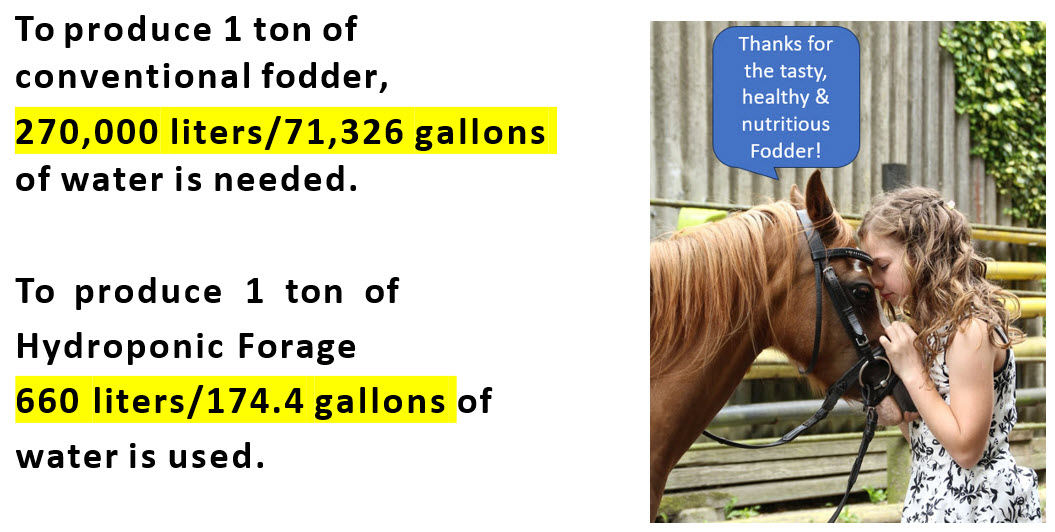 Conventional fodder vs GTG hydroponic fodder system water usage comparison