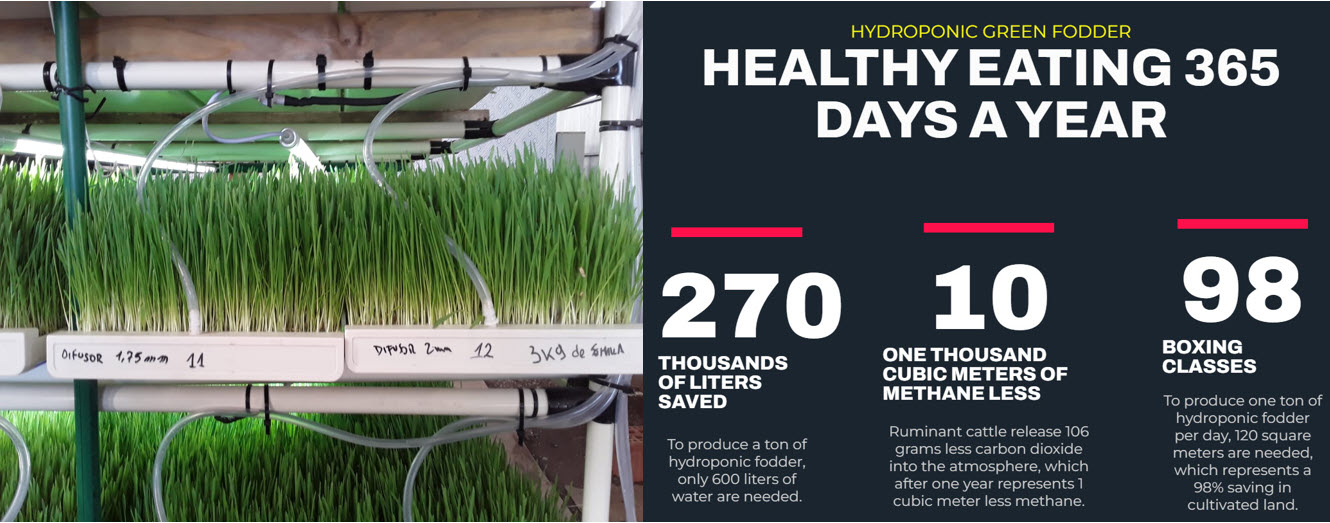 Healthy fodder