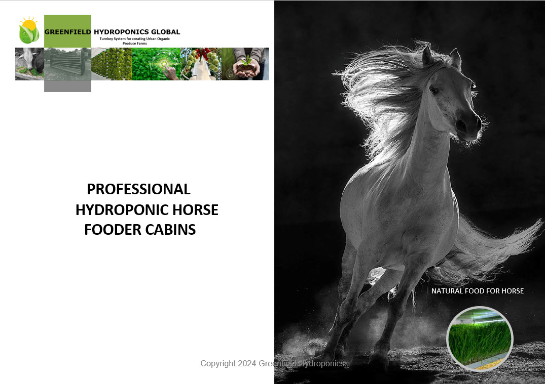 Professional hydroponic horse fodder cabins